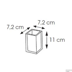 Tandenborstelhouder Sapho Rainbow Vrijstaand 11x7.2 Cm Kunststof Zwart -SEALSKIN Winkel ra9814 tandenborstelhouder sapho rainbow vrijstaand 11x7.2 cm kunststof zwart 4